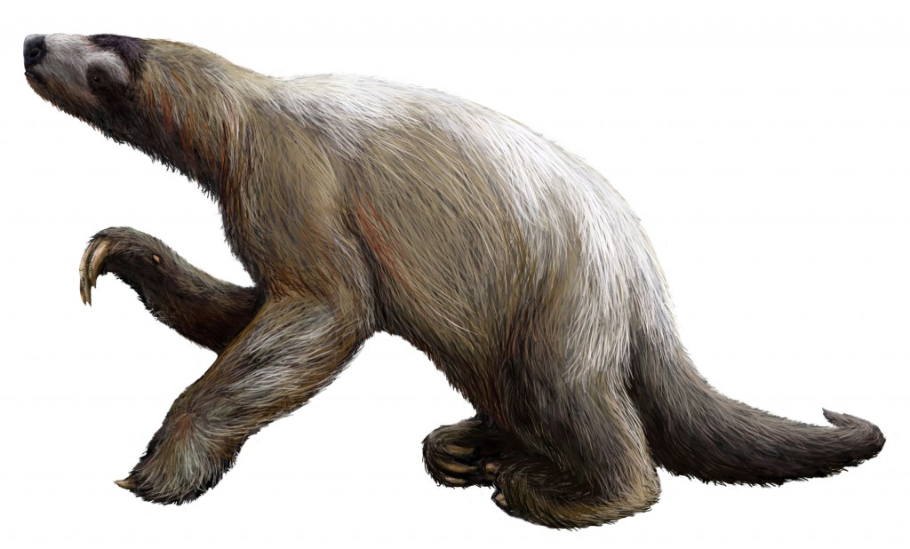 Giant ground sloth